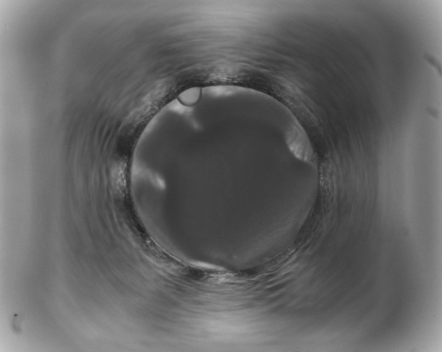 X0000102480127200808291635