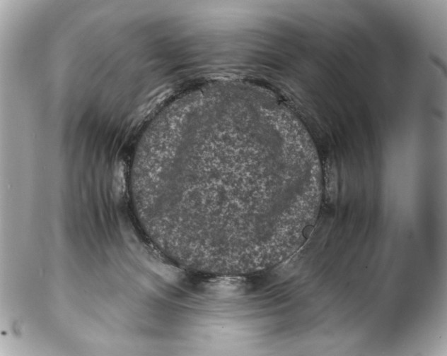 X0000102480128200808291635