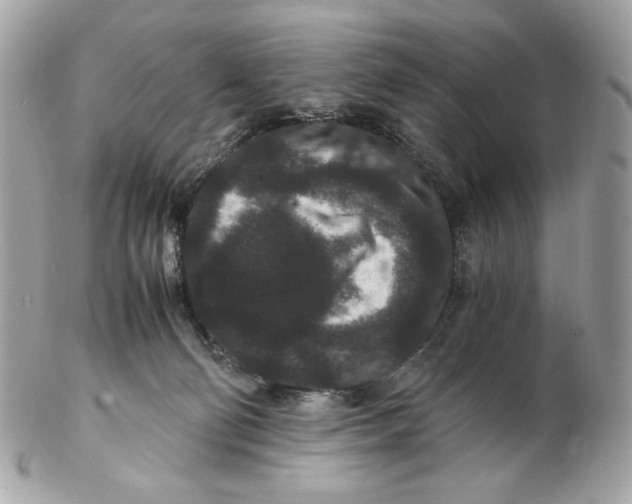 X0000102480130200808291635