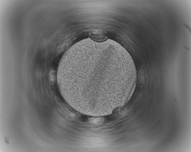 X0000102480135200808291635