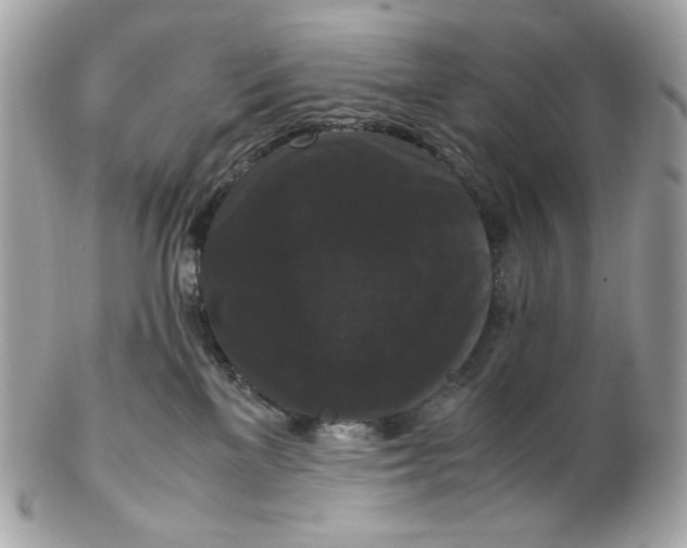 X0000102480137200808291635