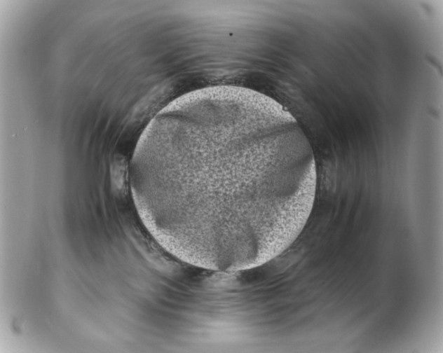 X0000102480138200808291635