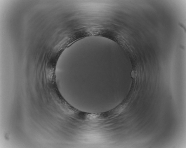 X0000102480139200808291635