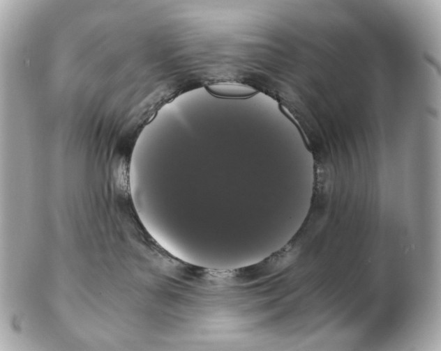 X0000102480143200808291635