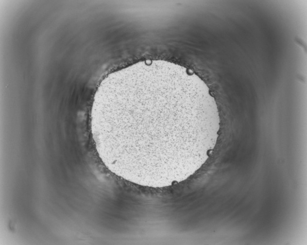 X0000102480144200808291635