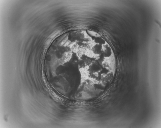 X0000102480145200808291635