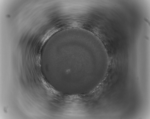 X0000102480146200808291635