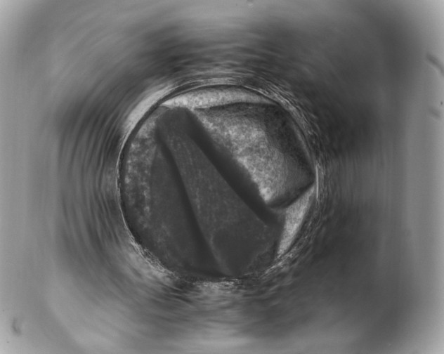 X0000102480147200808291635