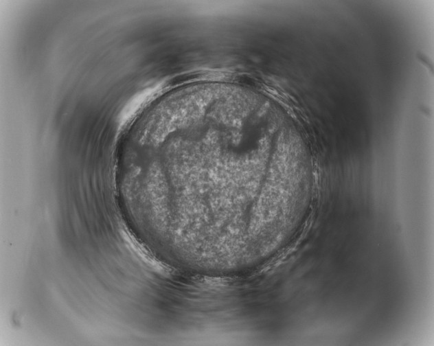 X0000102480149200808291635