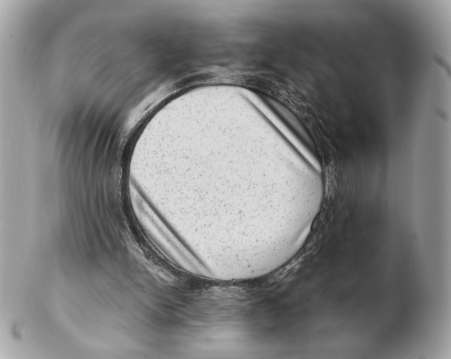 X0000102480150200808291635