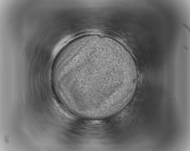 X0000102480151200808291635