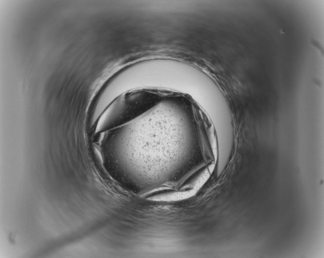 X0000102480152200808291635