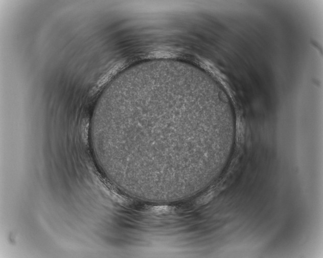 X0000102480153200808291635