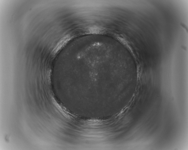 X0000102480154200808291635