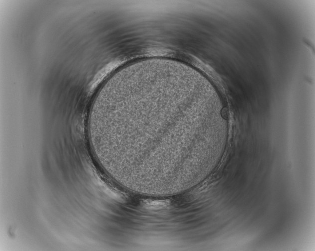 X0000102480155200808291635