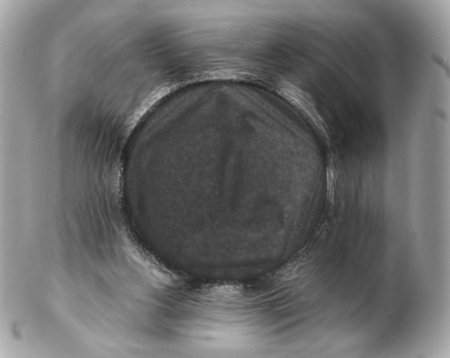 X0000102480156200808291635