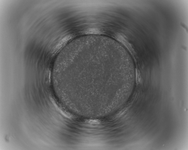 X0000102480157200808291635