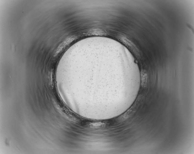 X0000102480158200808291635