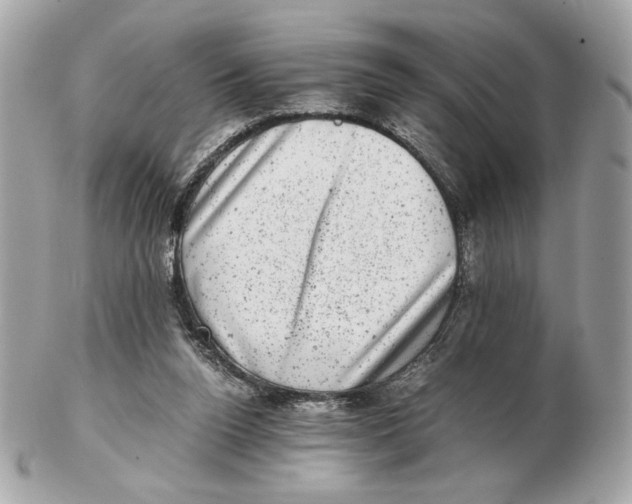 X0000102480160200808291635