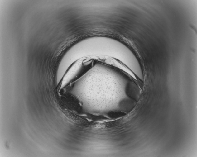 X0000102480162200808291635