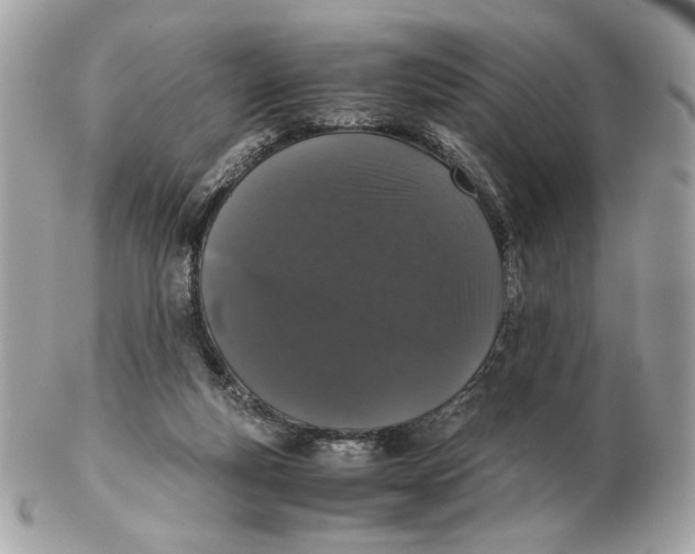 X0000102480163200808291635