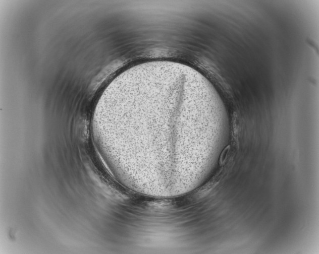 X0000102480164200808291635