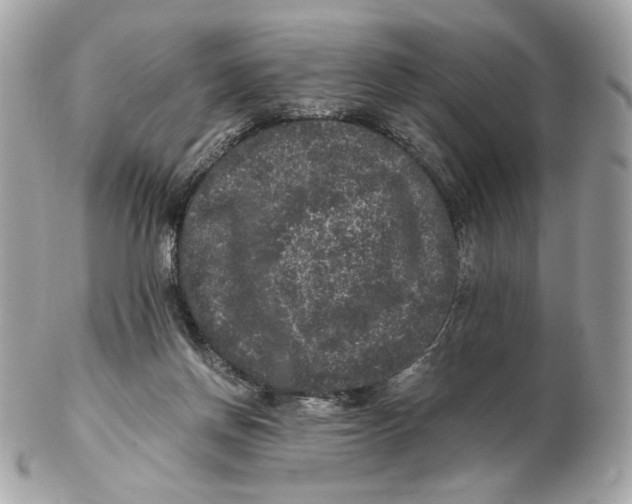 X0000102480166200808291635