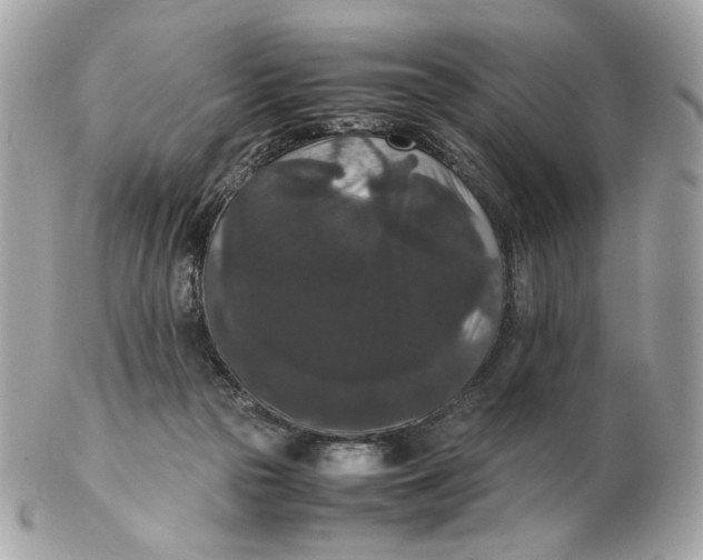 X0000102480169200808291635