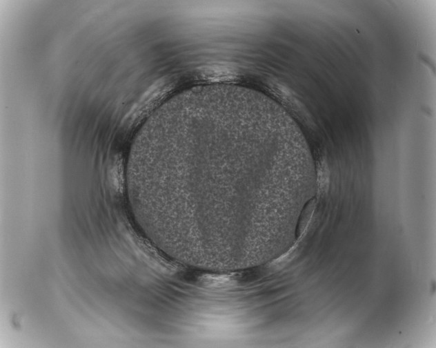 X0000102480170200808291635