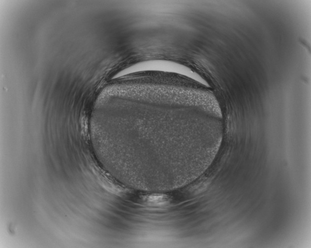 X0000102480173200808291635