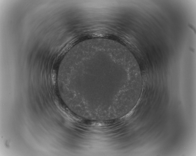 X0000102480174200808291635