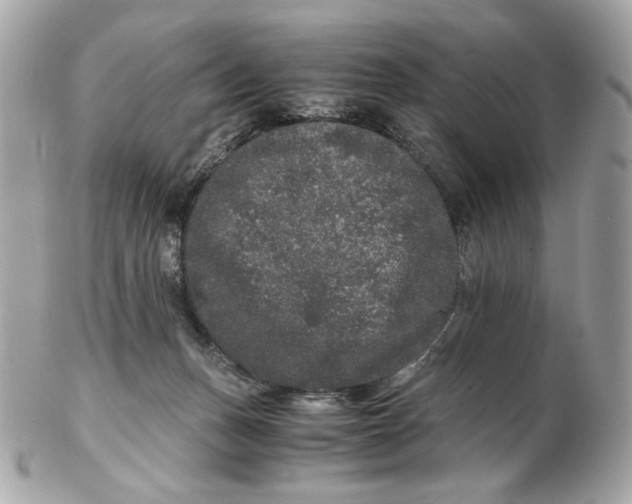 X0000102480175200808291635