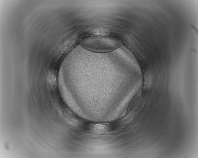 X0000102480176200808291635