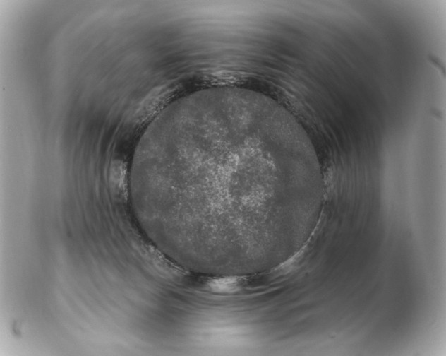 X0000102480178200808291635