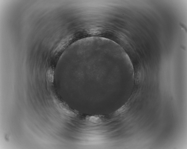 X0000102480180200808291635