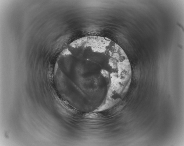 X0000102480181200808291635