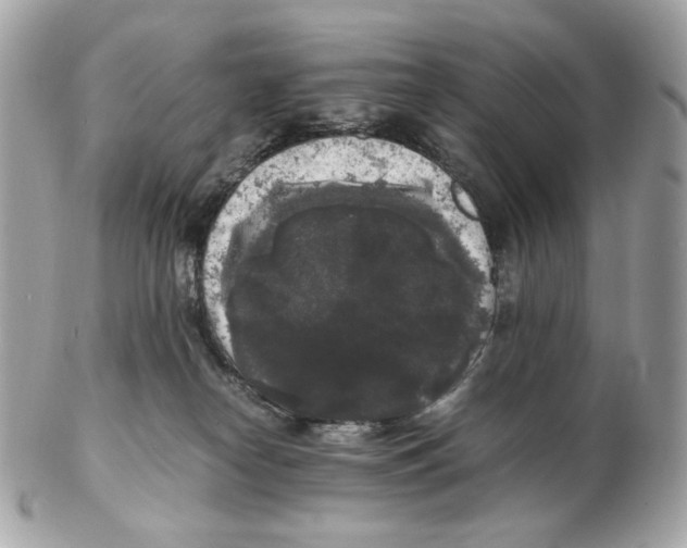 X0000102480182200808291635