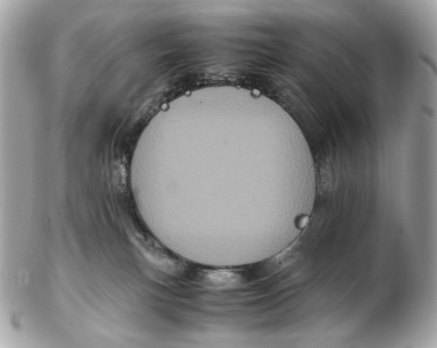 X0000102480183200808291635