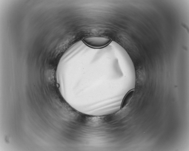 X0000102480184200808291635