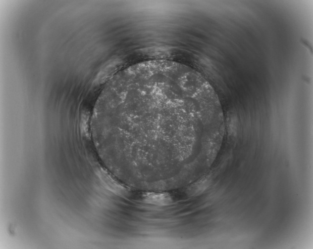 X0000102480185200808291635