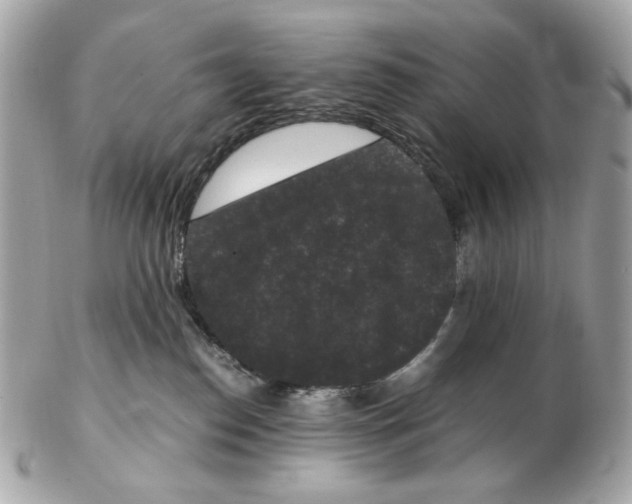 X0000102480186200808291635