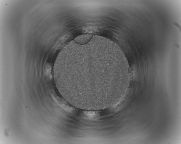 X0000102480187200808291635