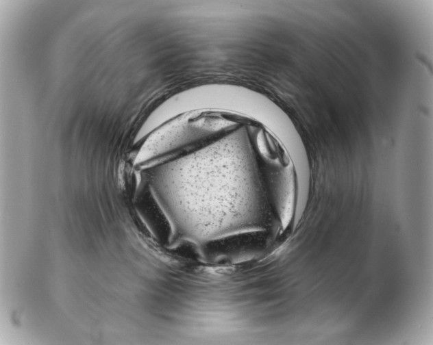 X0000102480188200808291635