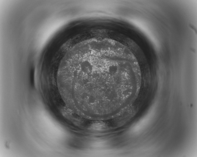 X0000102480189200808291635