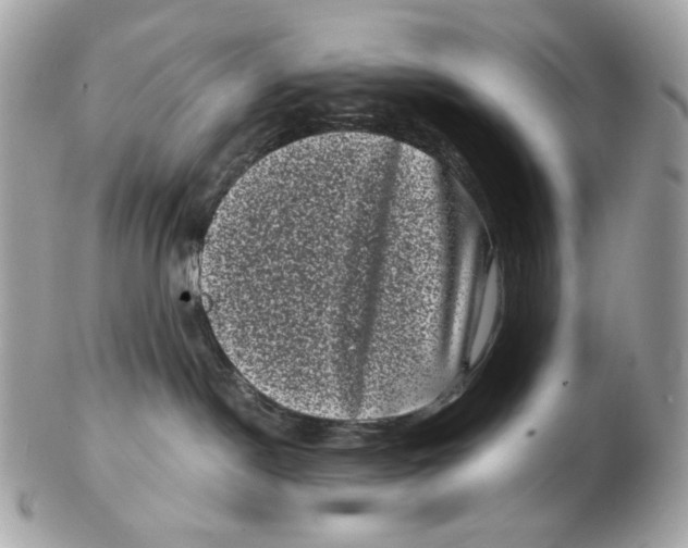 X0000102480190200808291635