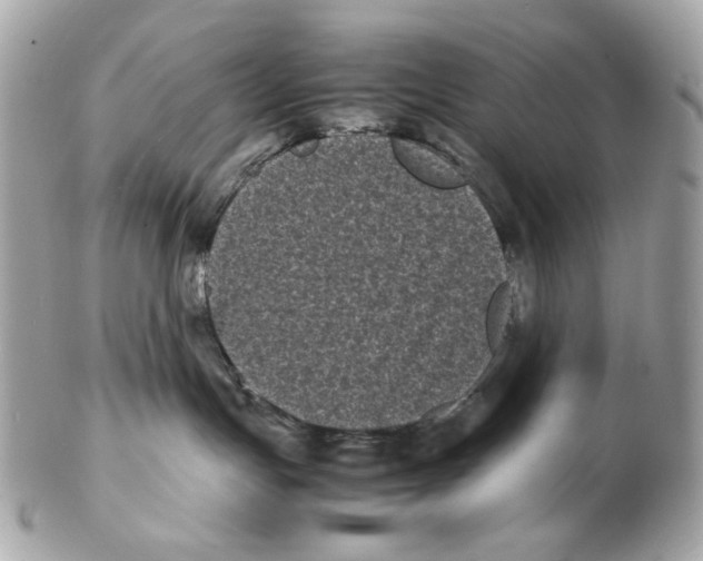 X0000102480191200808291635