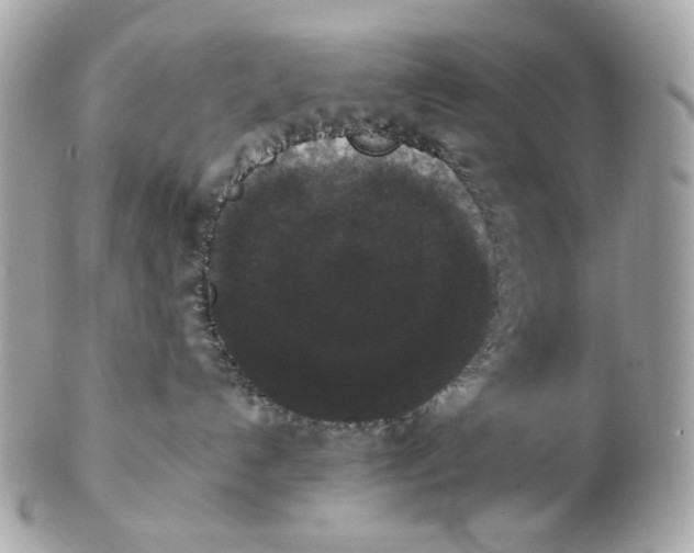 X0000102480192200808291635