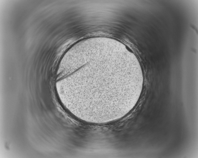 X0000102480193200808291635