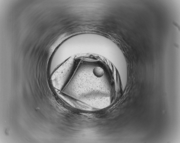 X0000102480195200808291635