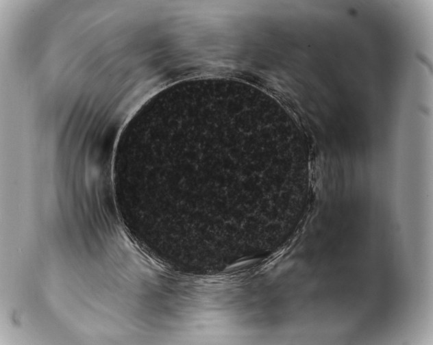 X0000102480196200808291635